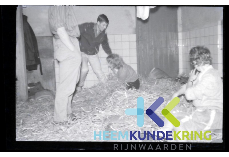afbeelding_54